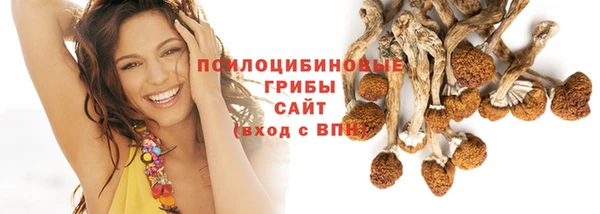 гидра Балабаново
